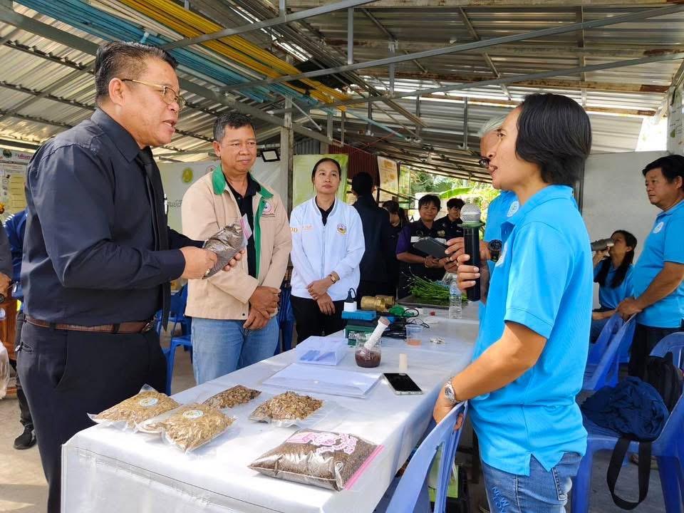 ภาพประกอบที่ 5