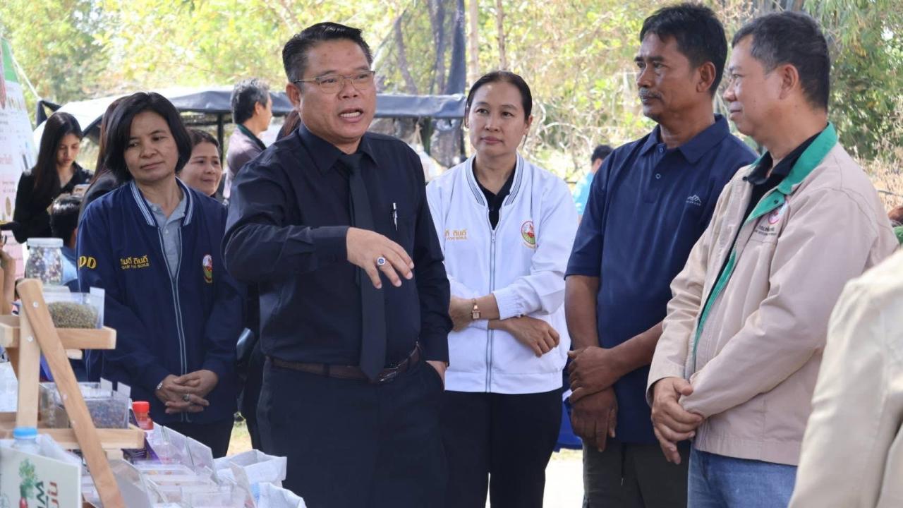 ภาพประกอบที่ 11