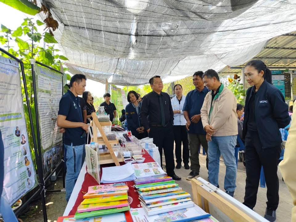 ภาพประกอบที่ 12