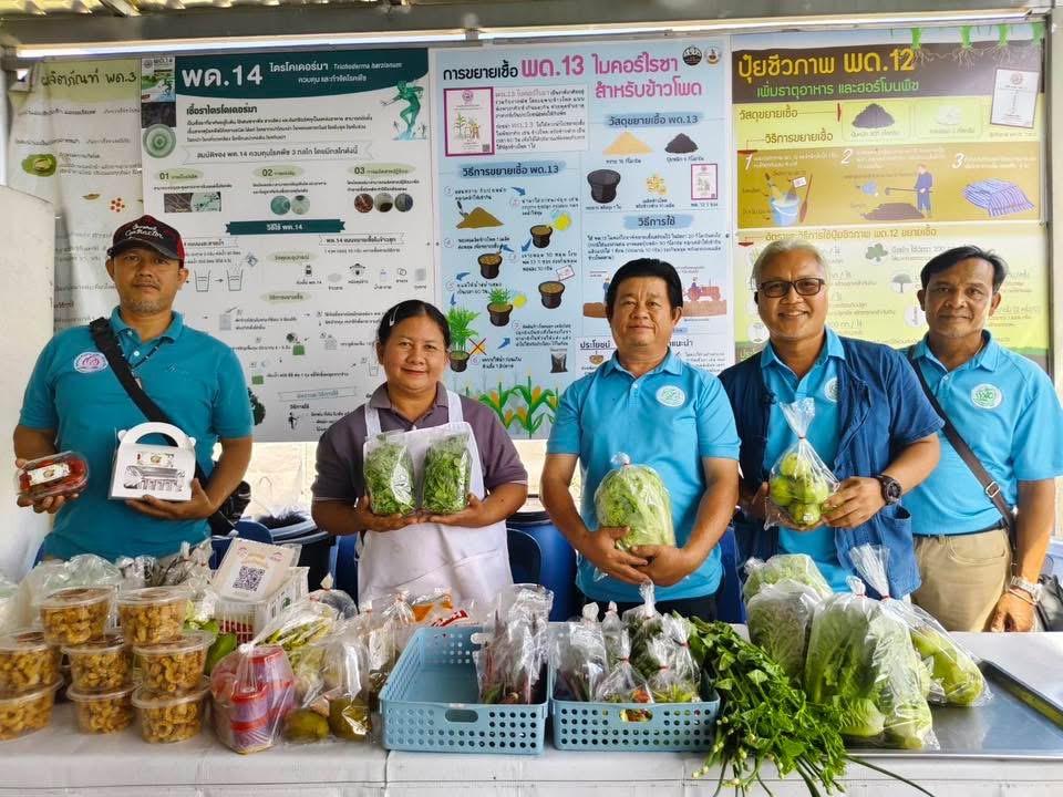 ภาพประกอบที่ 21