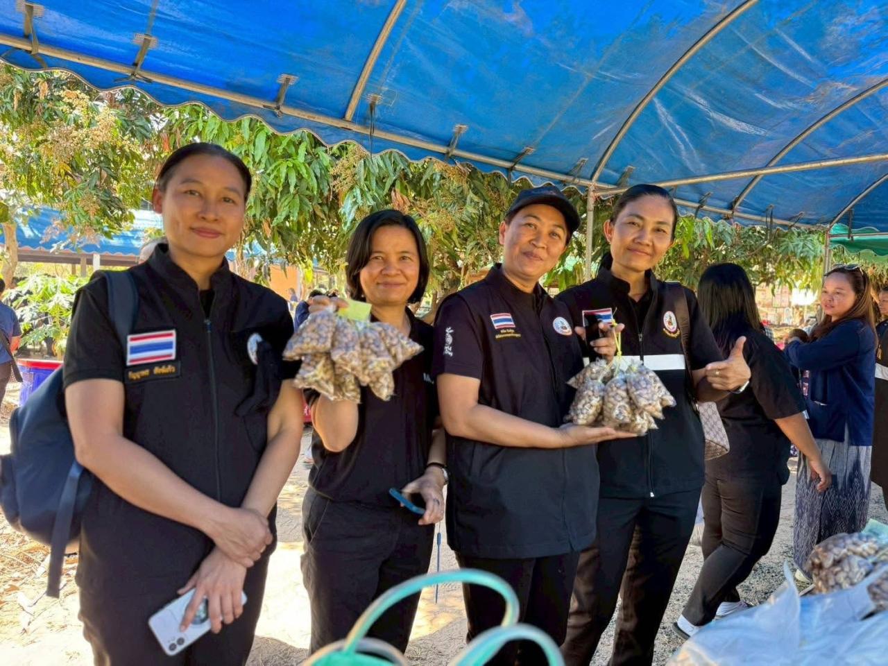 ภาพประกอบที่ 8