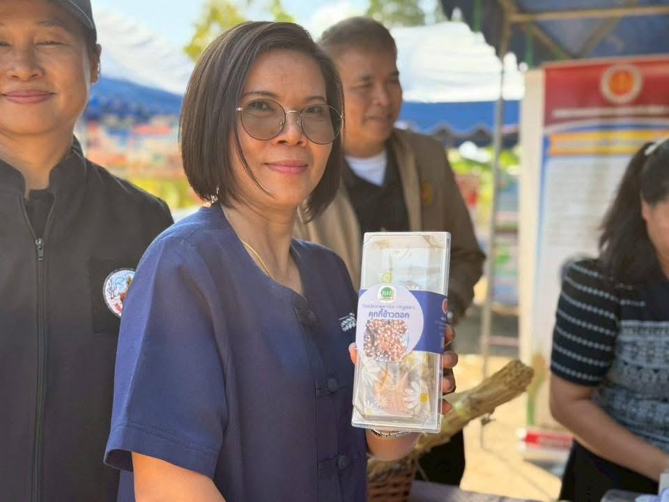 ภาพประกอบที่ 10