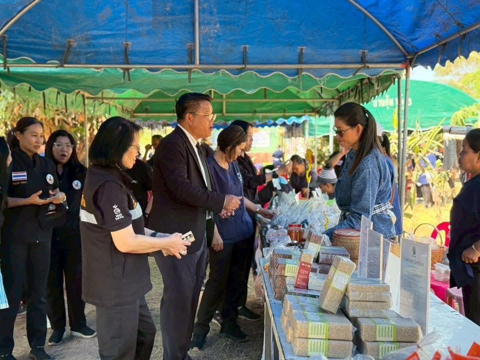 ภาพประกอบที่ 13