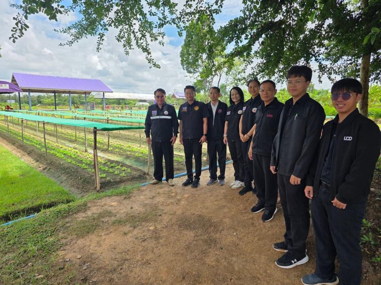 ภาพประกอบที่ 15