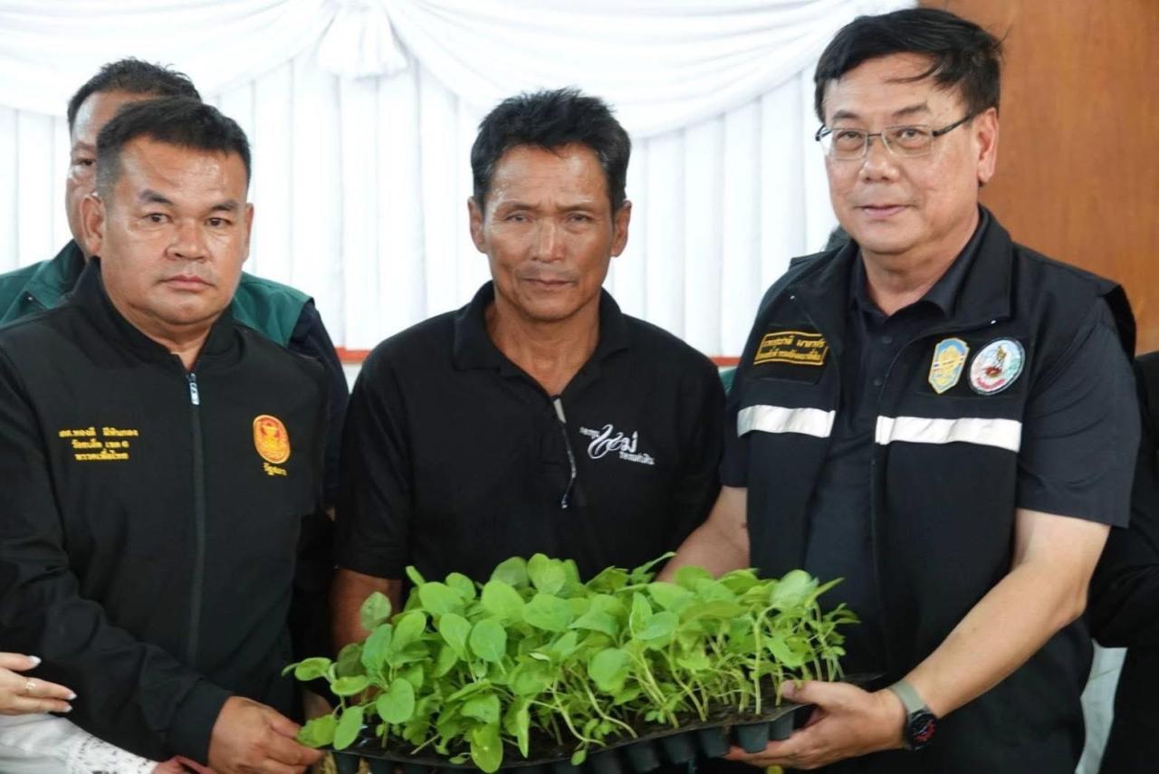 ภาพประกอบที่ 9