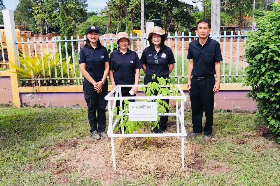 ภาพประกอบที่ 11