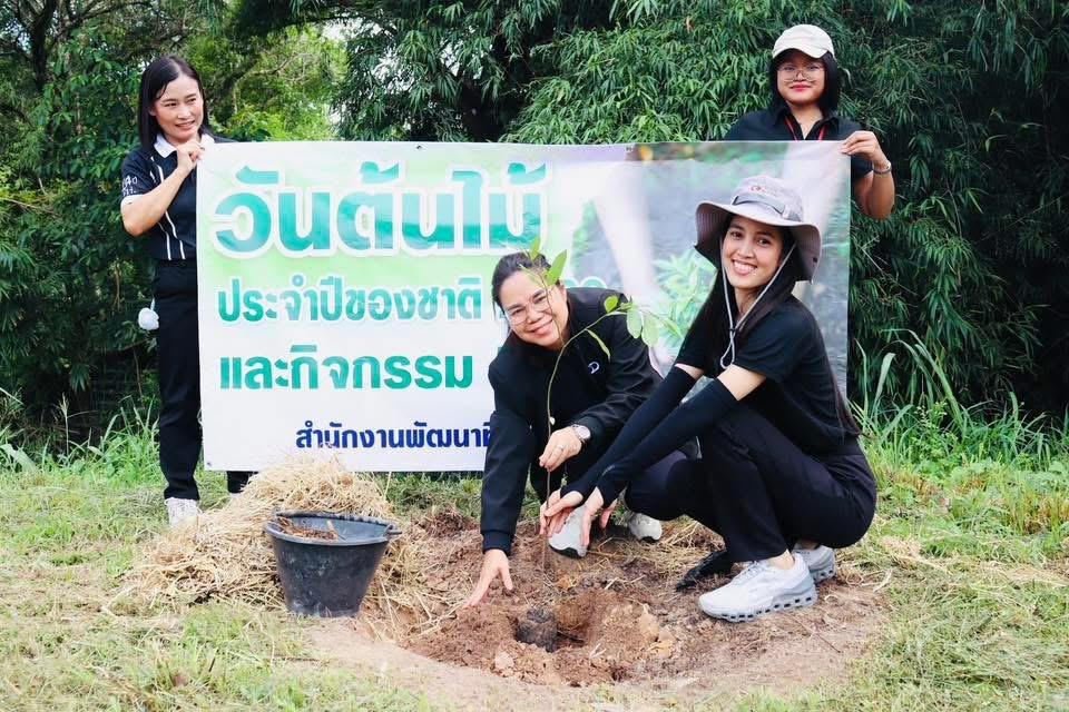 ภาพประกอบที่ 16