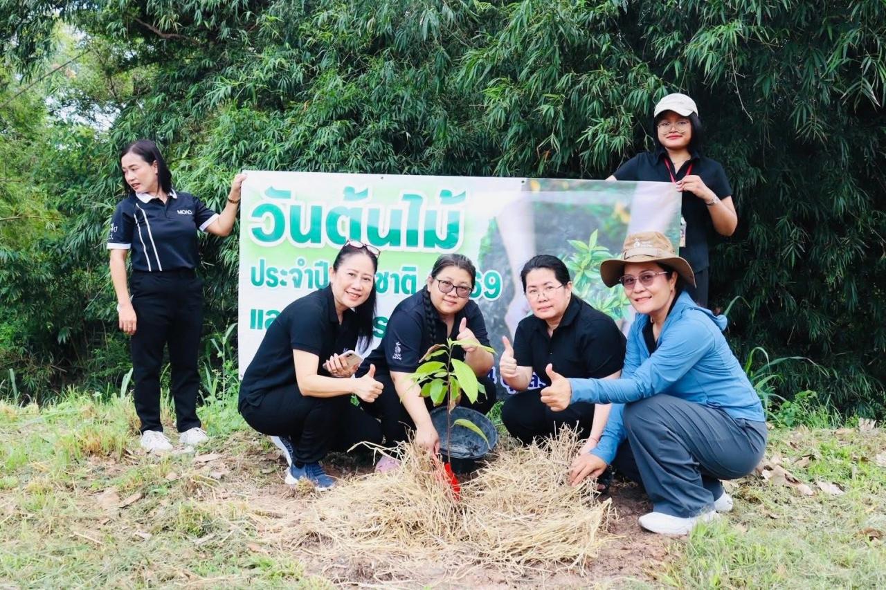 ภาพประกอบที่ 17