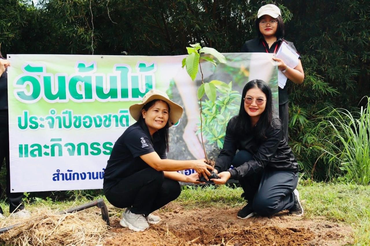 ภาพประกอบที่ 19