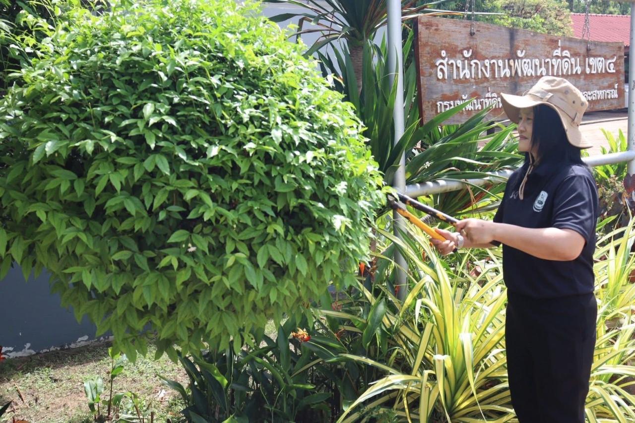 ภาพประกอบที่ 24