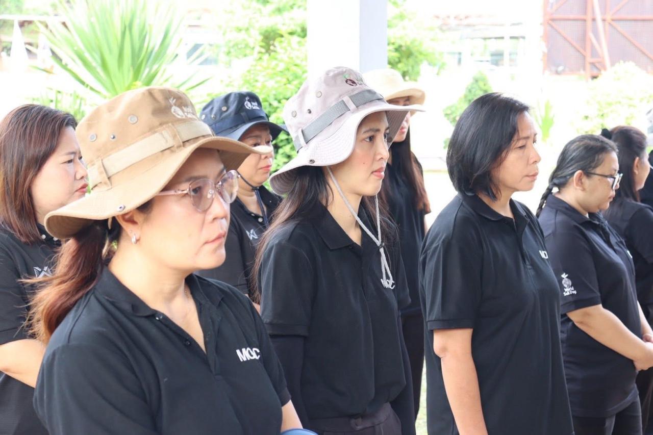 ภาพประกอบที่ 33