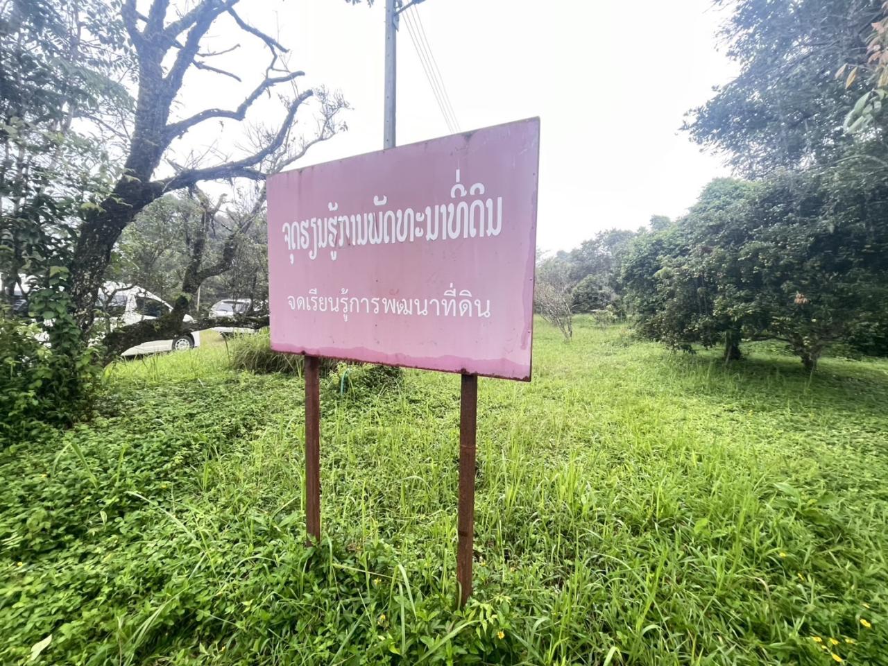 ภาพประกอบที่ 11