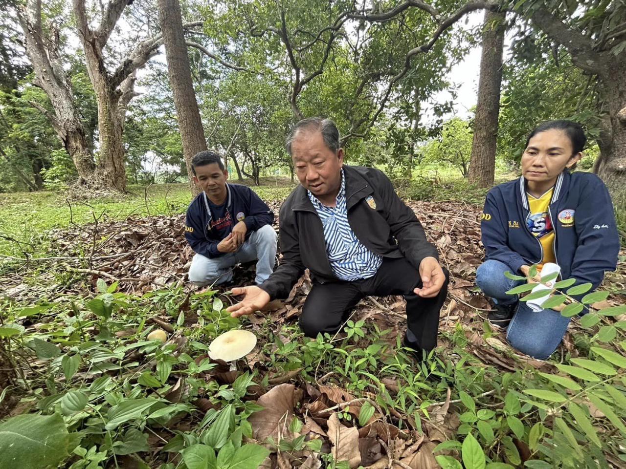 ภาพประกอบที่ 10