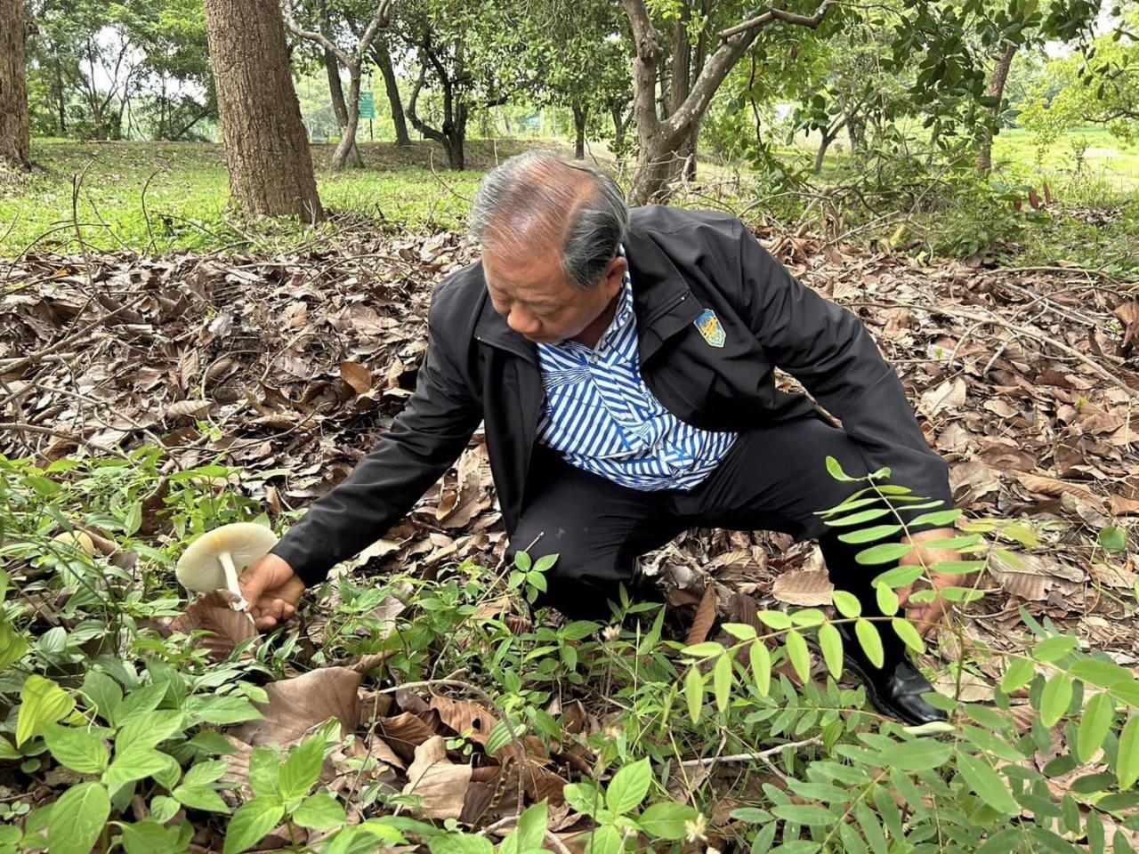 ภาพประกอบที่ 13