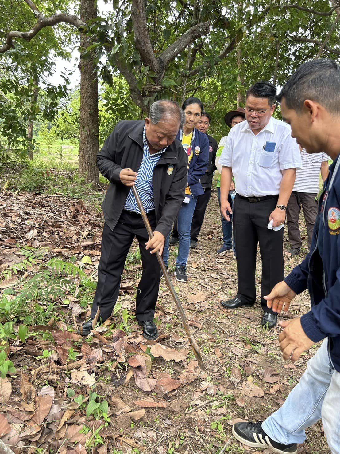 ภาพประกอบที่ 14