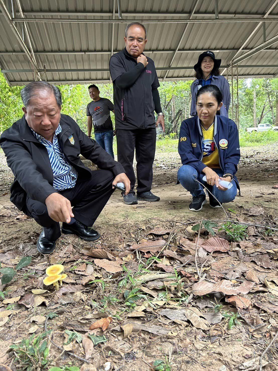 ภาพประกอบที่ 15