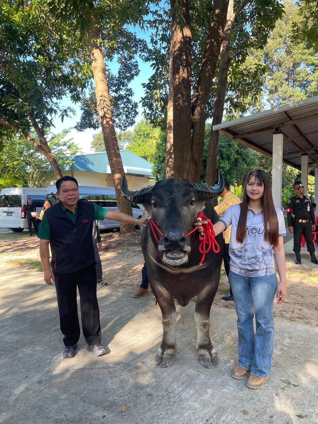 ภาพประกอบที่ 10