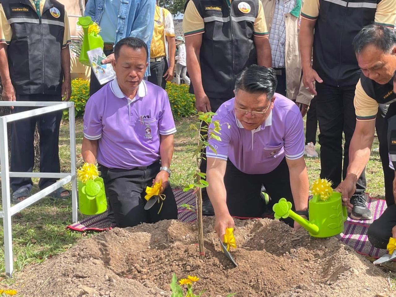 ภาพประกอบที่ 24