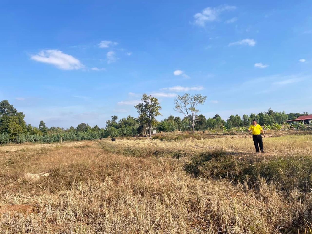 ภาพประกอบที่ 6