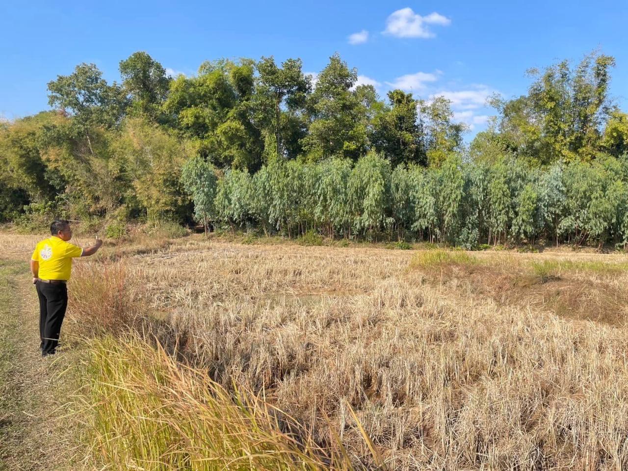 ภาพประกอบที่ 8