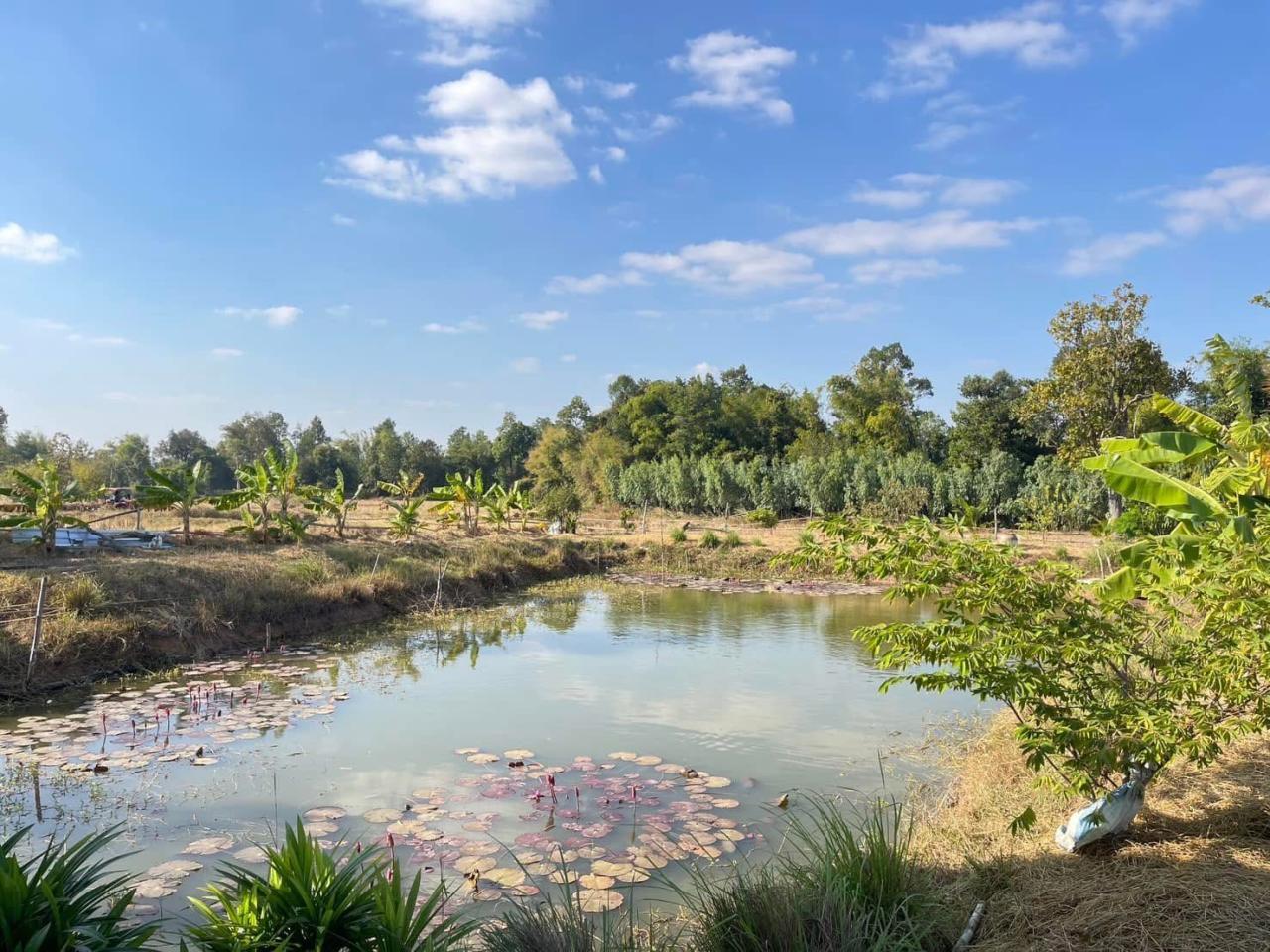 ภาพประกอบที่ 10