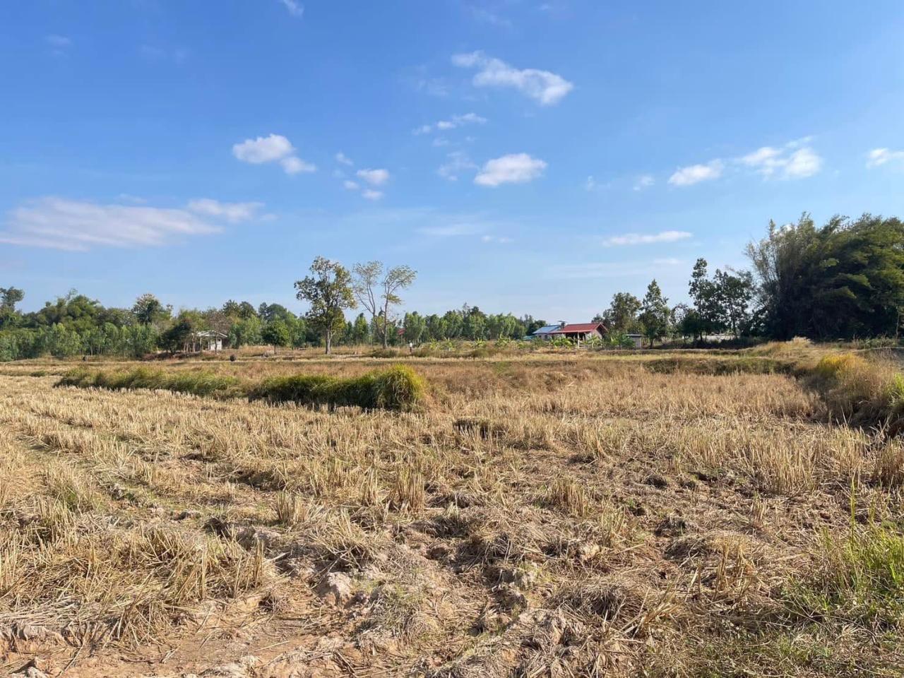 ภาพประกอบที่ 11