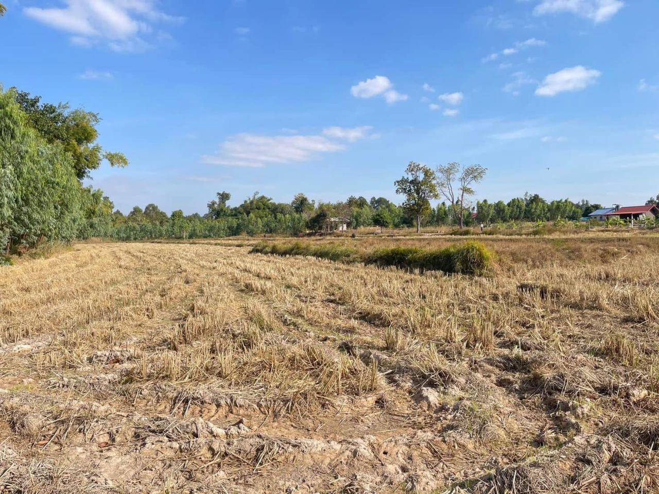 ภาพประกอบที่ 12