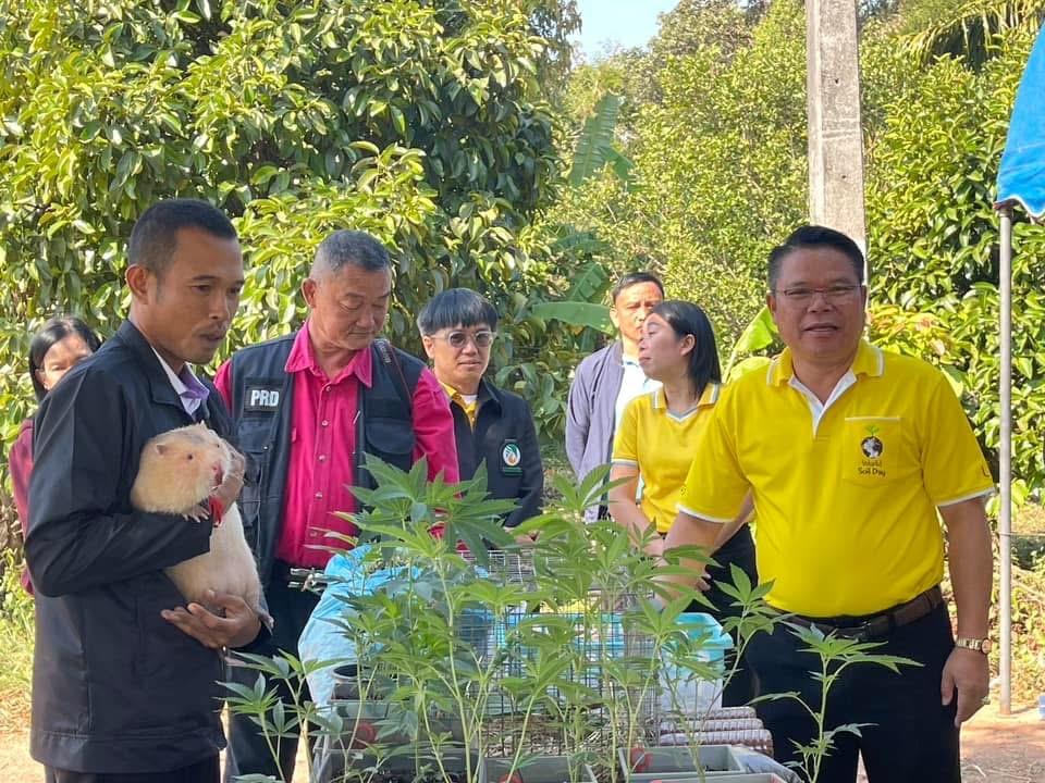 ภาพประกอบที่ 25