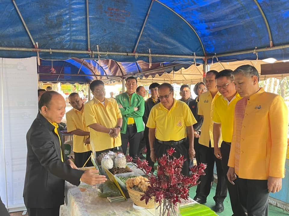 ภาพประกอบที่ 29