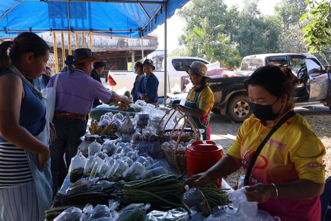 ภาพประกอบที่ 11