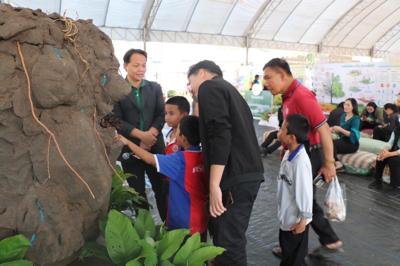 ภาพประกอบที่ 25