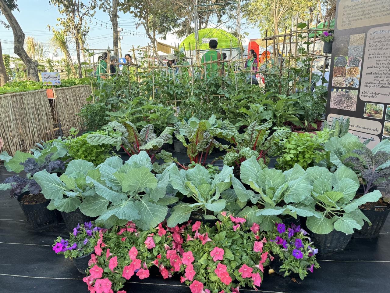 ภาพประกอบที่ 27