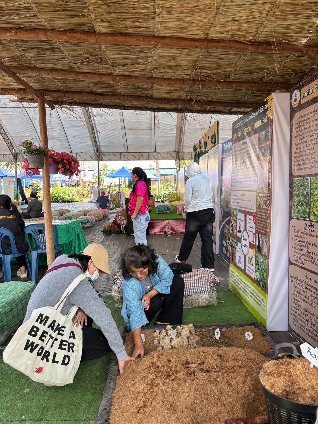 ภาพประกอบที่ 3