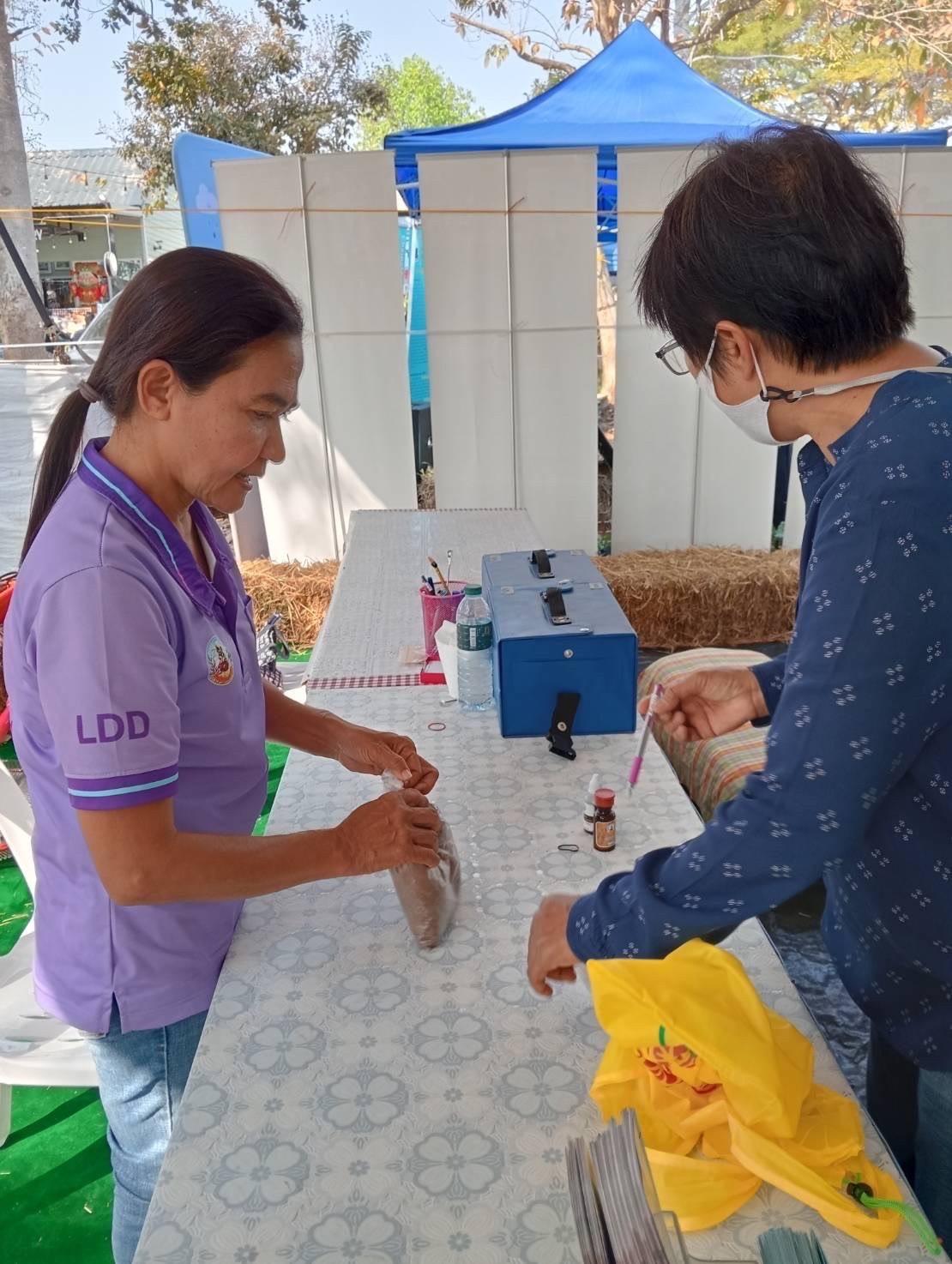 ภาพประกอบที่ 8