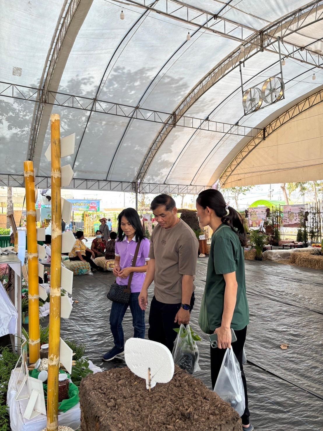 ภาพประกอบที่ 24