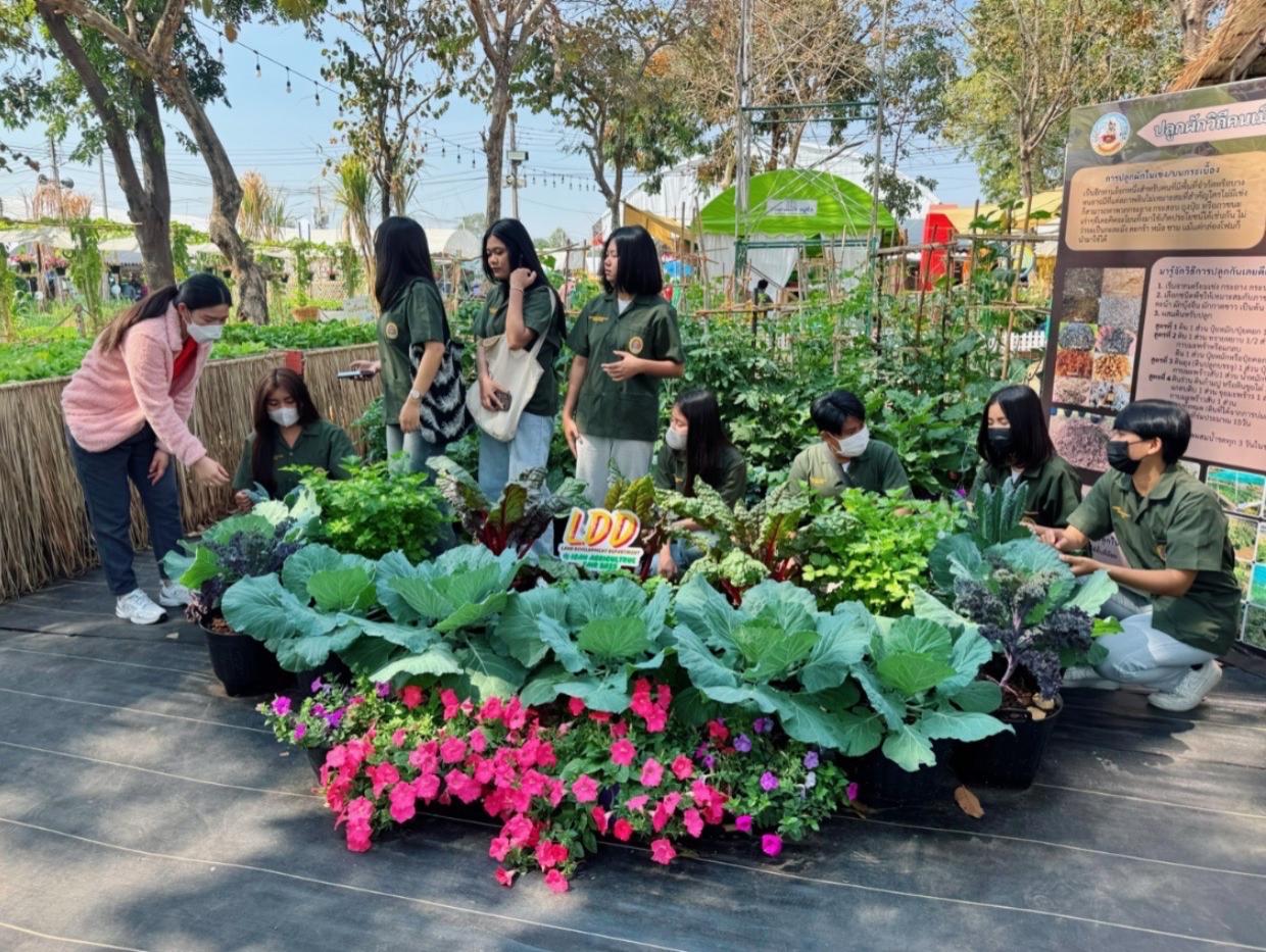 ภาพประกอบที่ 14