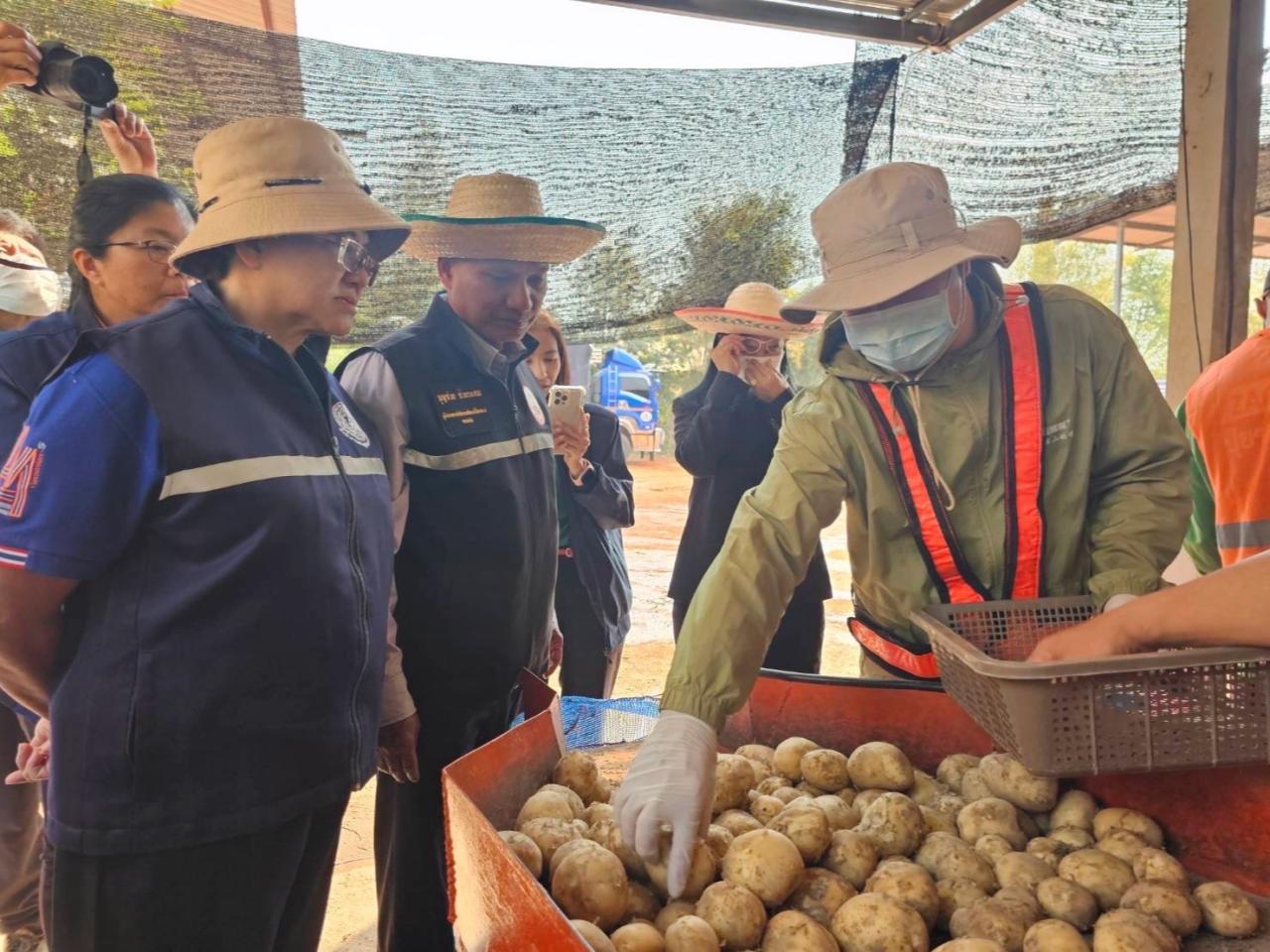 ภาพประกอบที่ 7