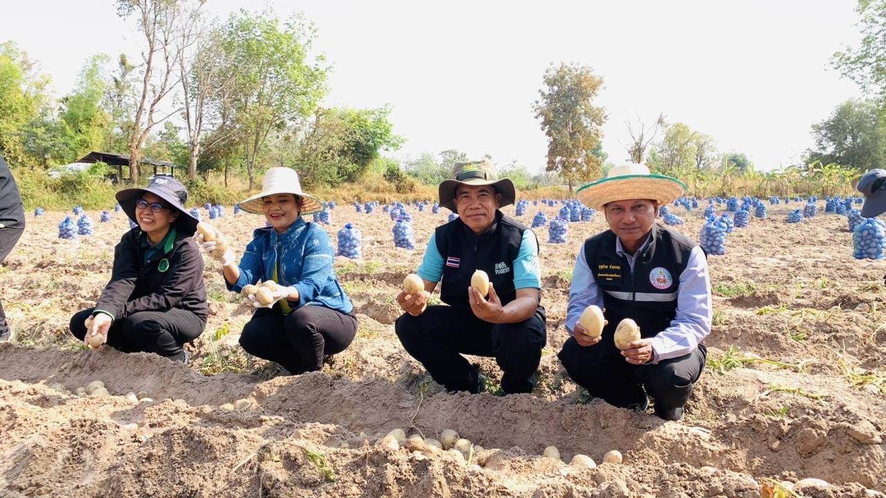 ภาพประกอบที่ 9