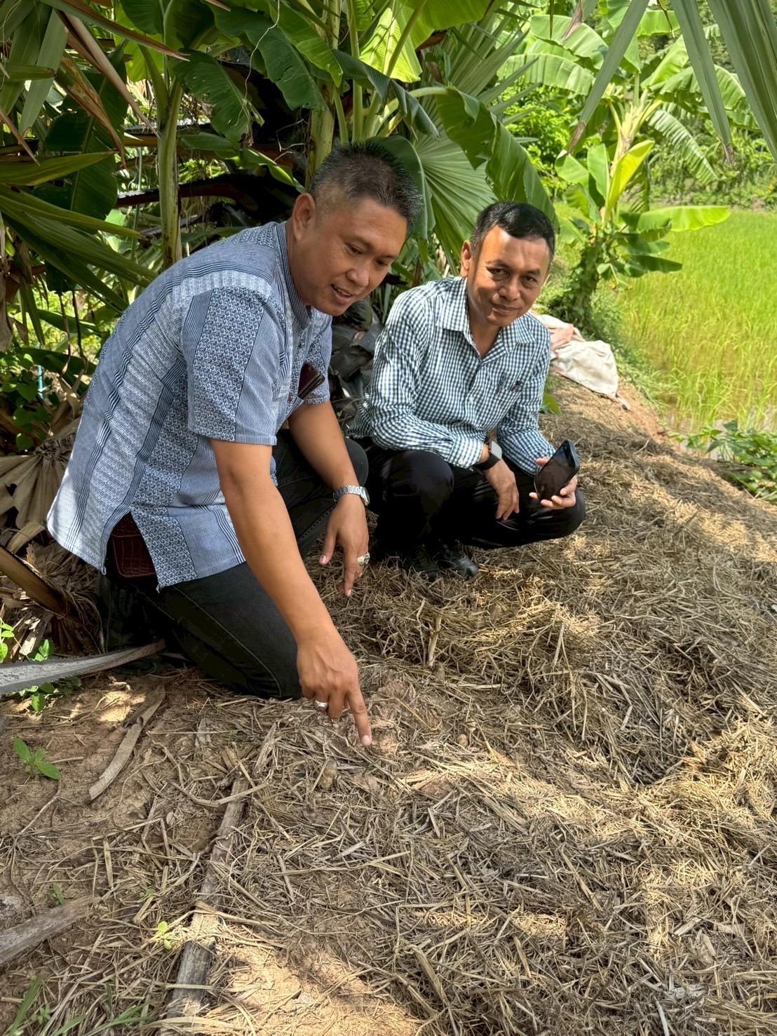 ภาพประกอบที่ 12