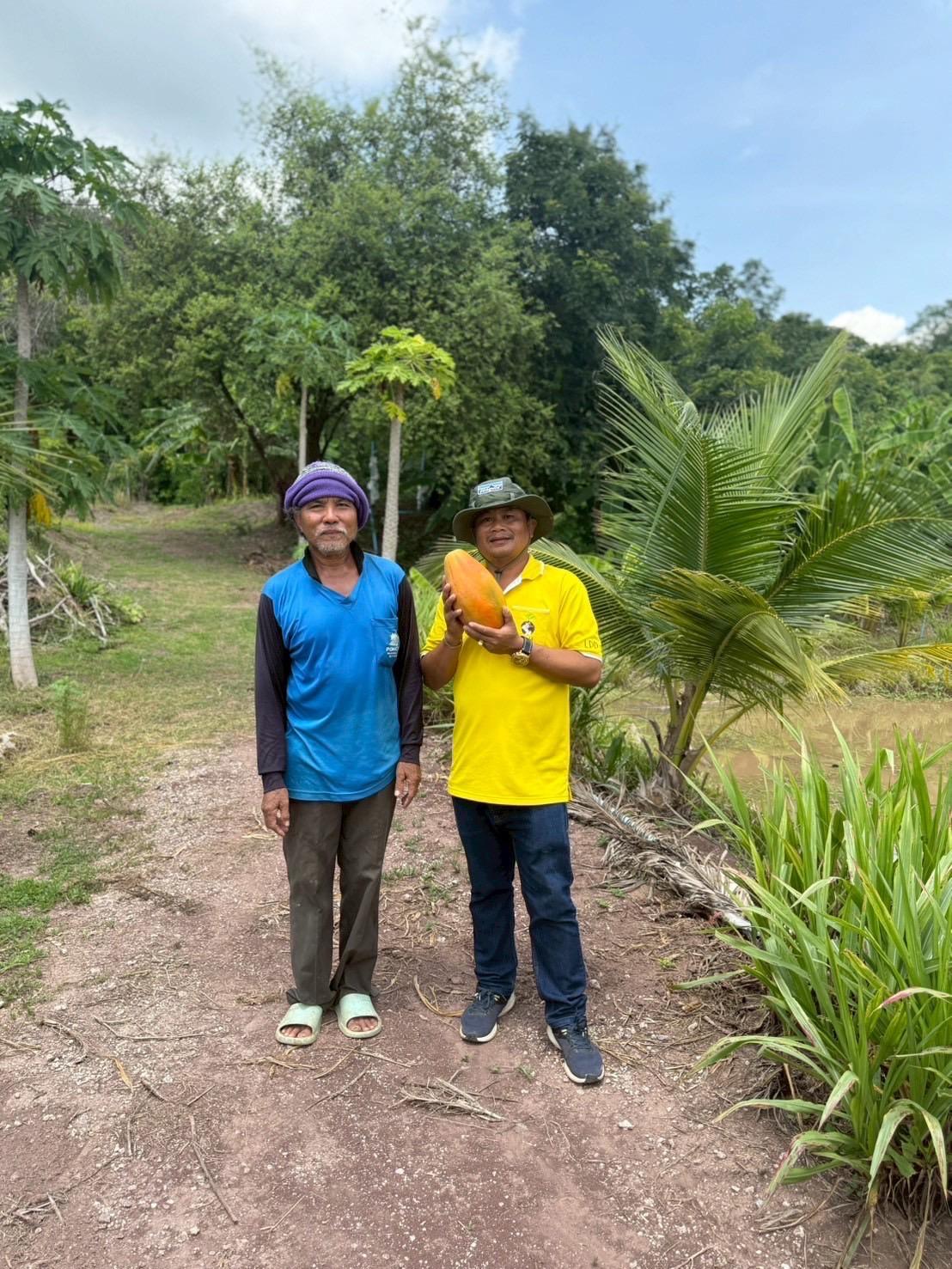 ภาพประกอบที่ 15