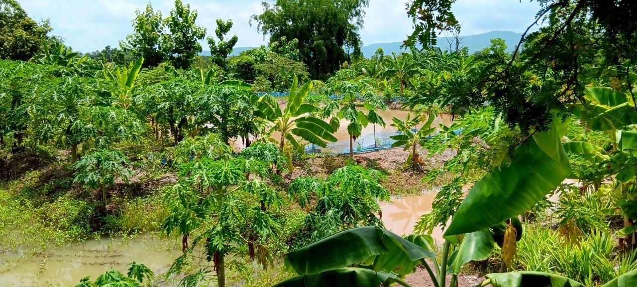 ภาพประกอบที่ 18