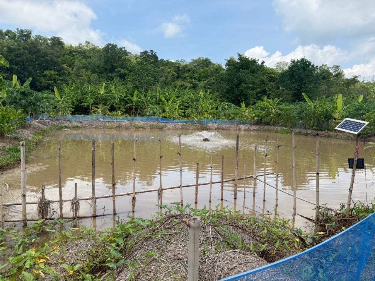 ภาพประกอบที่ 19