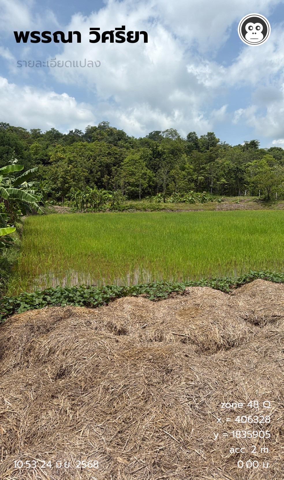 ภาพประกอบที่ 24