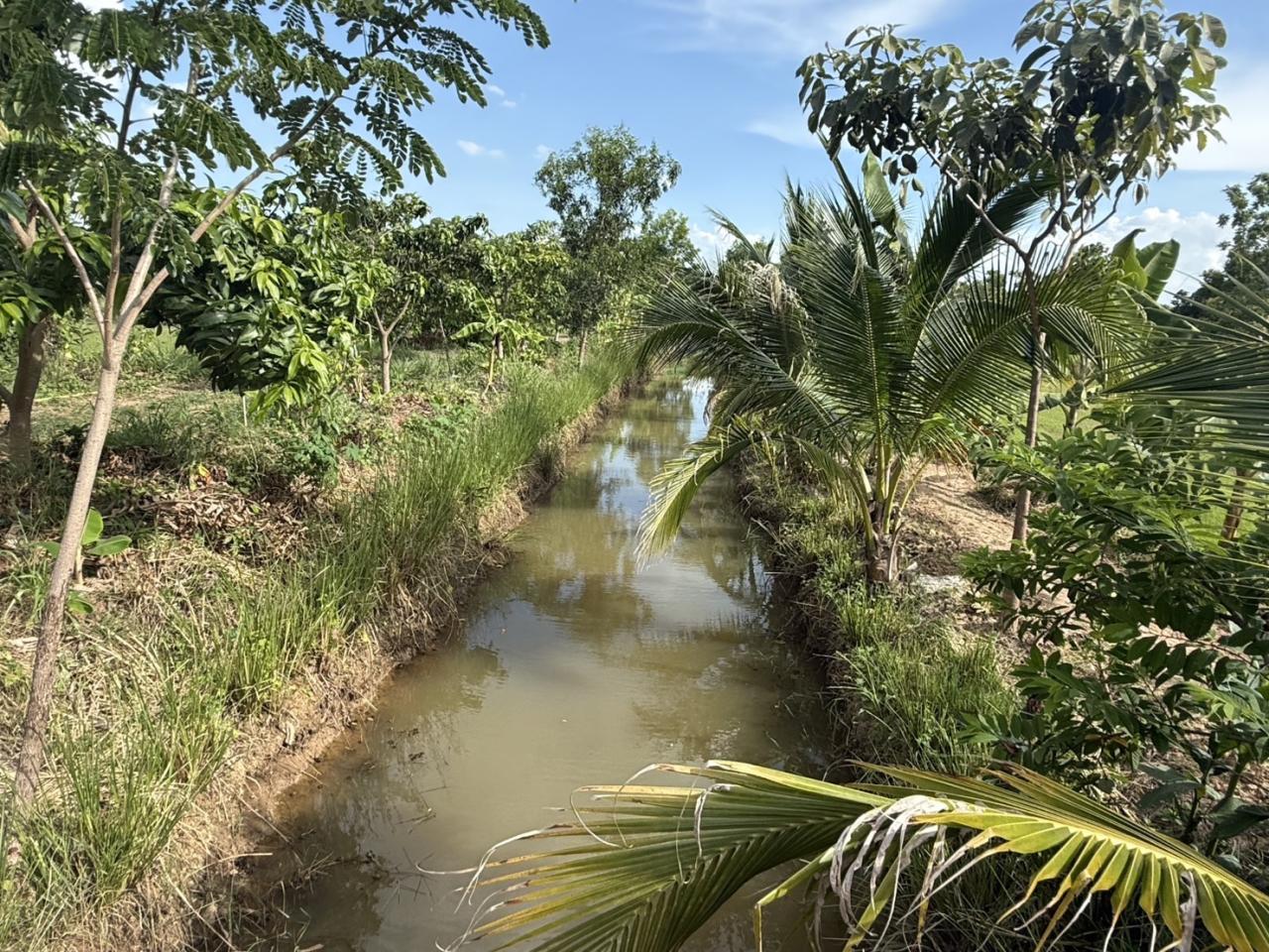 ภาพประกอบที่ 27