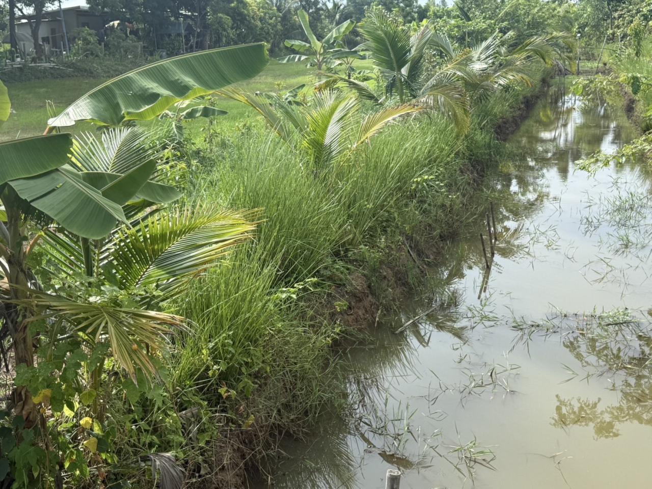 ภาพประกอบที่ 28