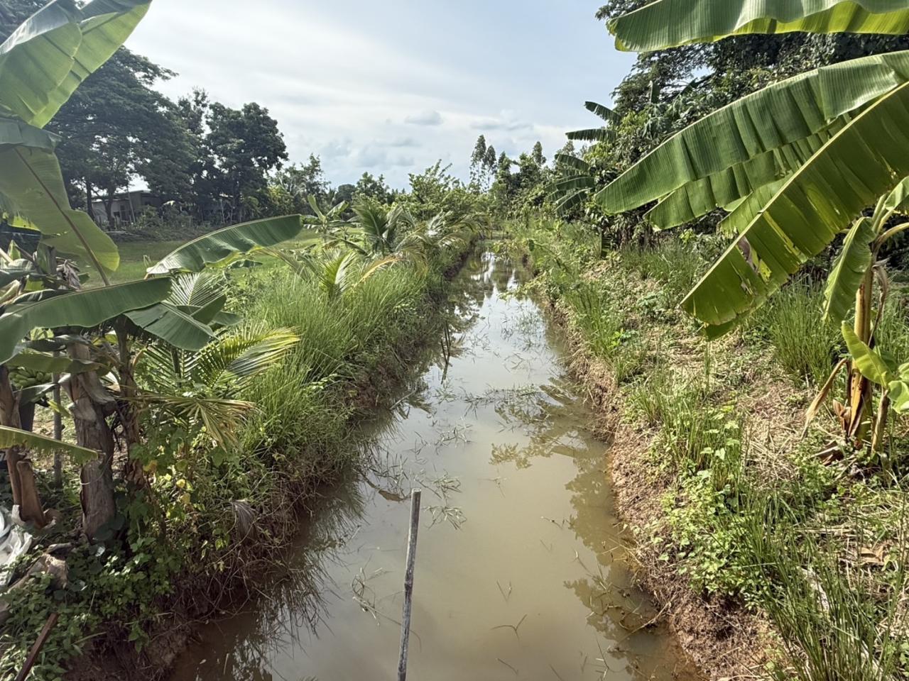 ภาพประกอบที่ 29