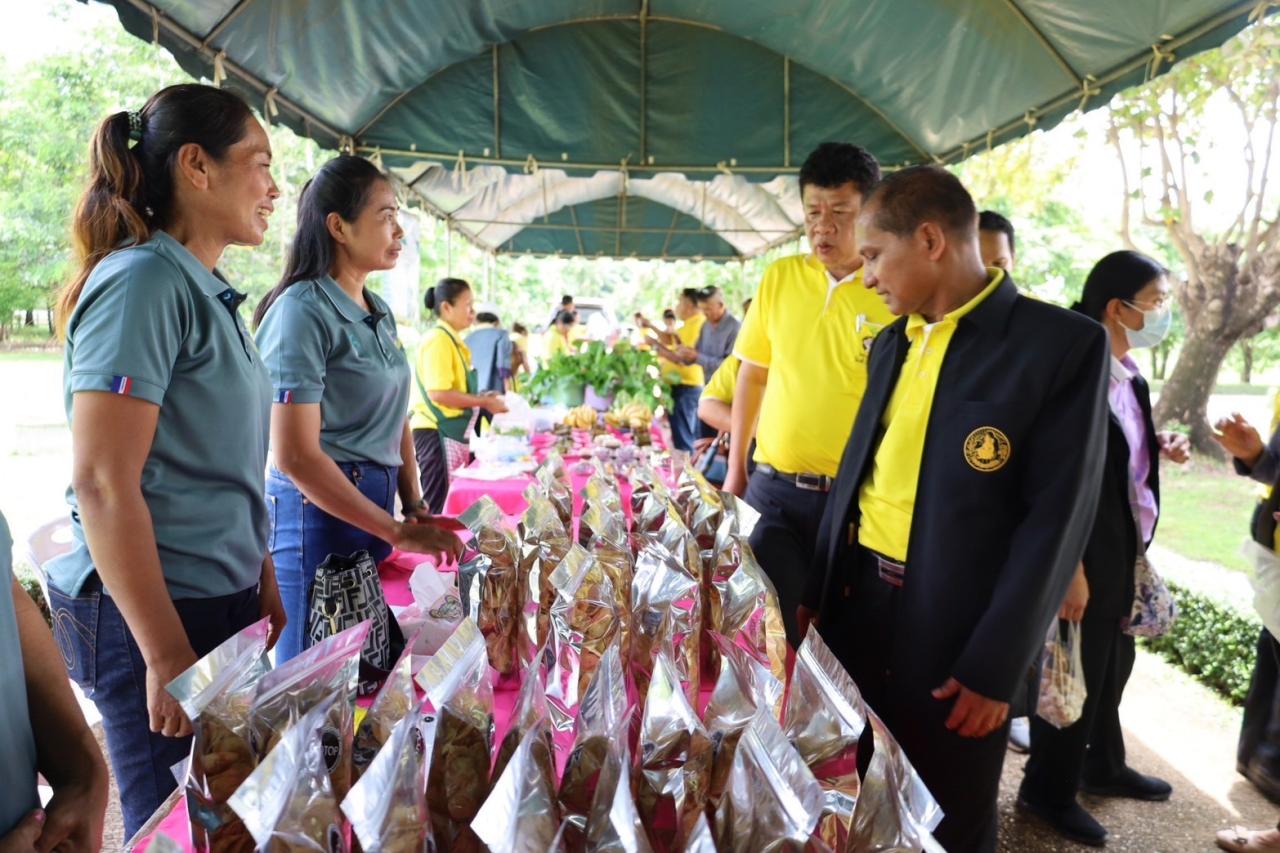 ภาพประกอบที่ 11
