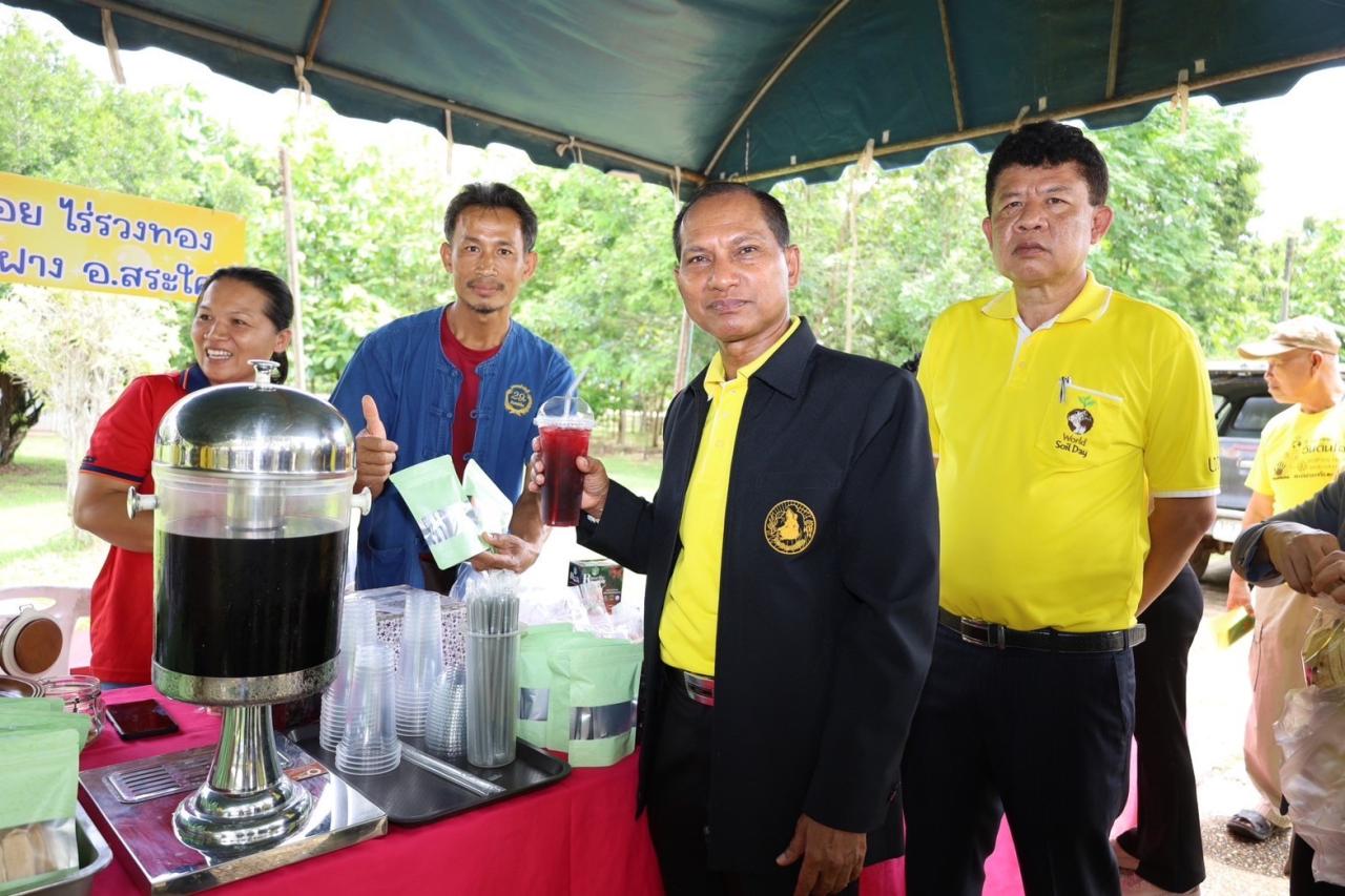 ภาพประกอบที่ 12