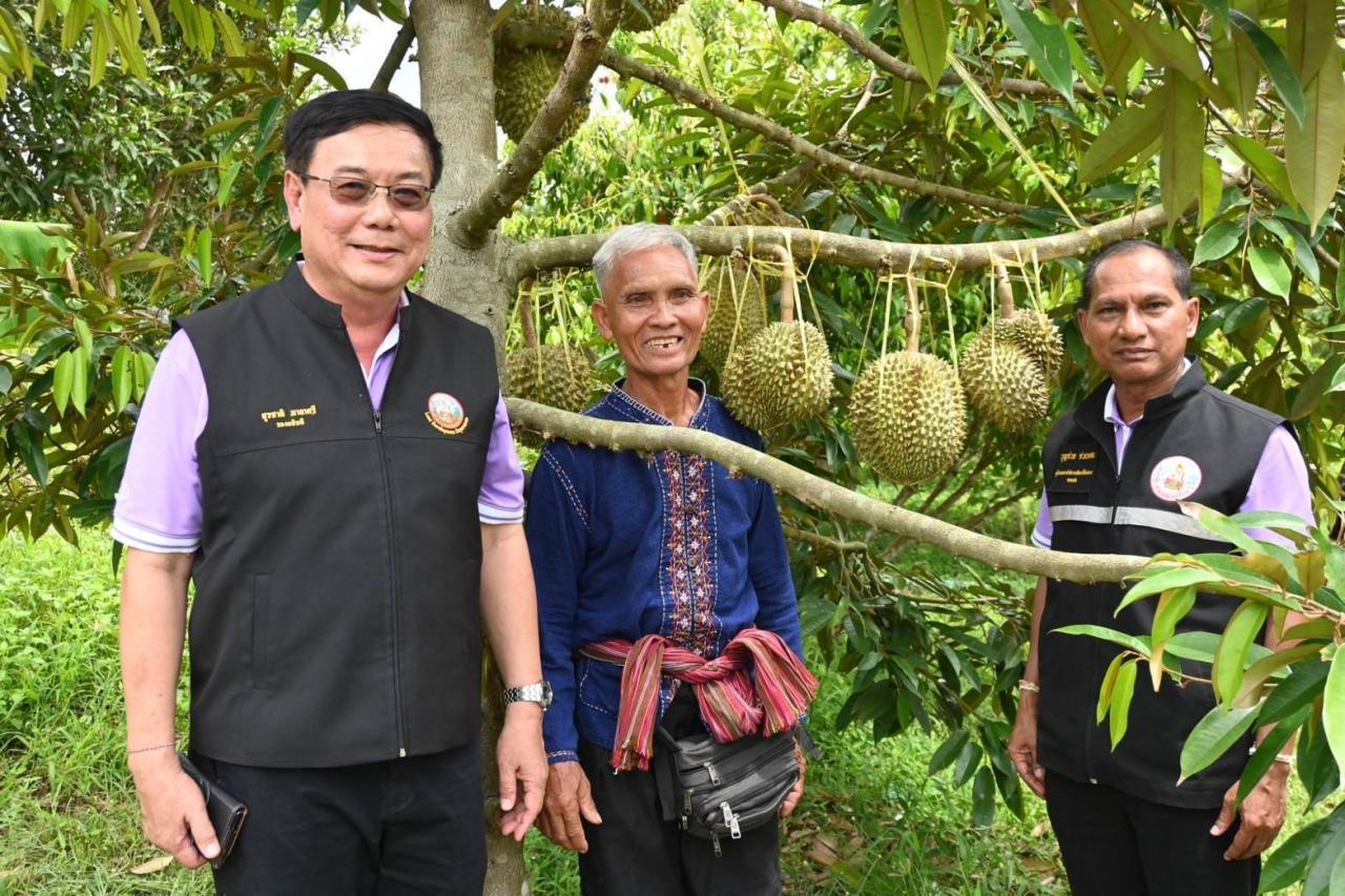 ภาพประกอบที่ 17