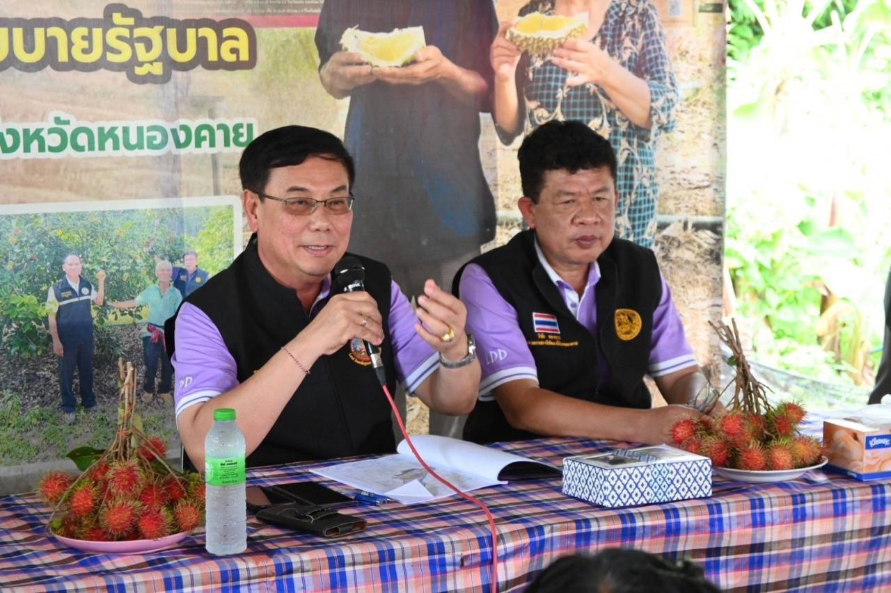 ภาพประกอบที่ 31